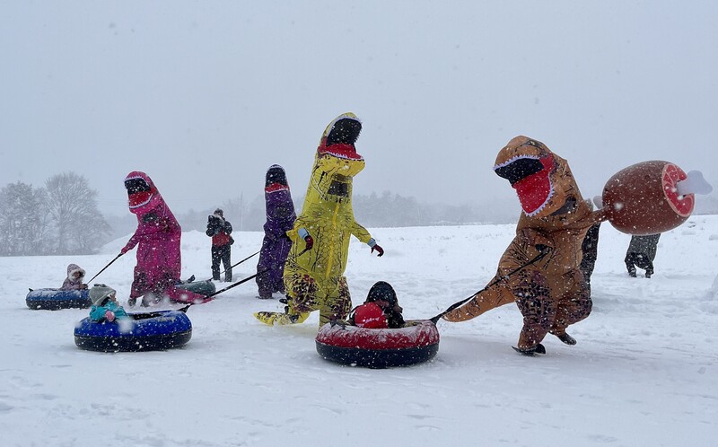 「雪上ティラノサウルスレース」に参加しよう！