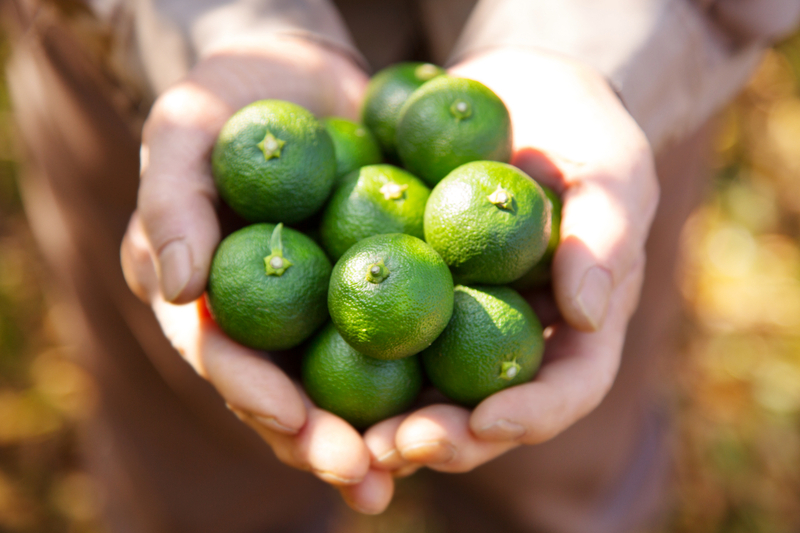 さしあげます　さわやか気分