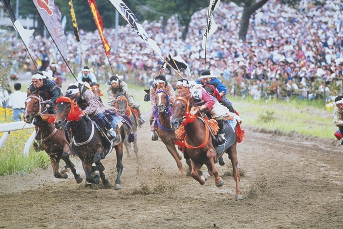 令和8年度 相馬野馬追（2026年）