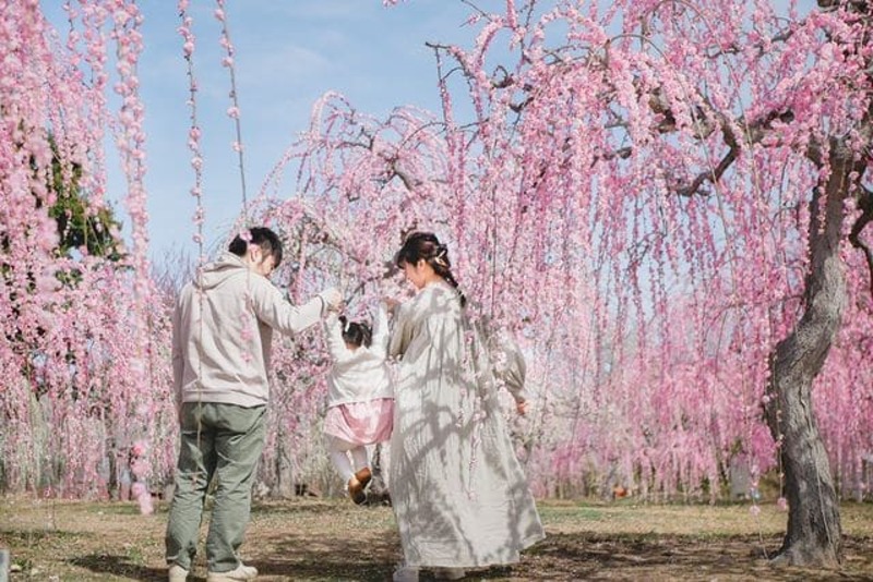 【2026東海】梅の絶景名所＆穴場15選 しだれ梅・日本最古の梅＆梅まつりも！