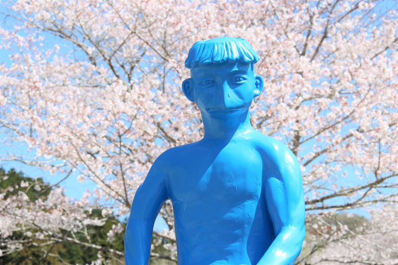 千本桜の忠元公園よりも楽しめる？伊佐市の隠れた桜の名所！！