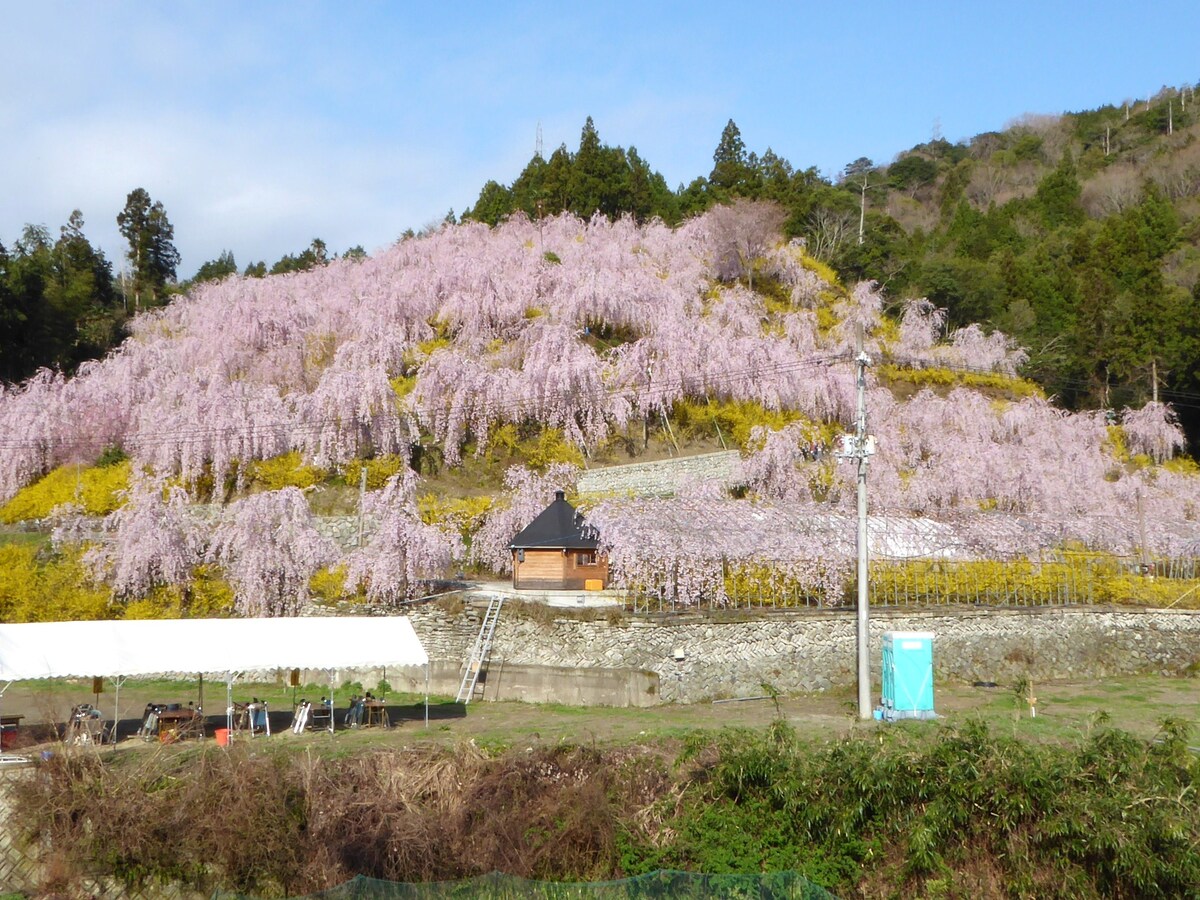 ゆうか の 里
