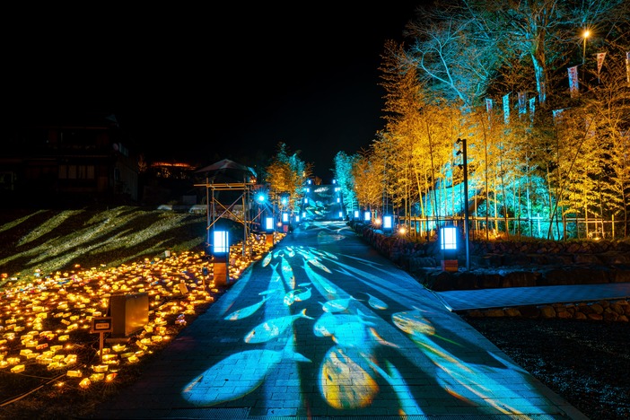 音信川うたあかりV0l.8（2026年）