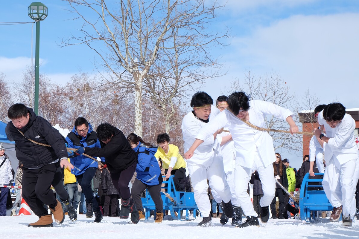 第36回IWAMIZAWAドカ雪まつり（2026年） | 豪快！350キロのソリを引く