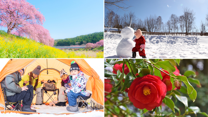 2026年2月のおすすめ観光地＆穴場17選　関東から日帰り～1泊で雪遊び！河津桜まつりも