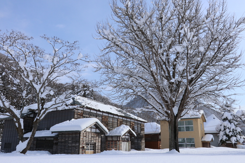 大イチョウが見守る木造校舎<br/>懐かしい昭和の時間が流れる場所