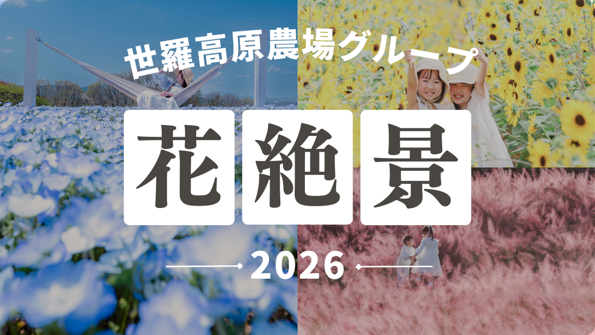 広島・世羅町で一年中花絶景！4つの農園で楽しむ季節の花イベント2026