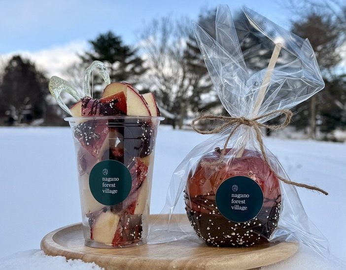 nagano forest village Winter Fair