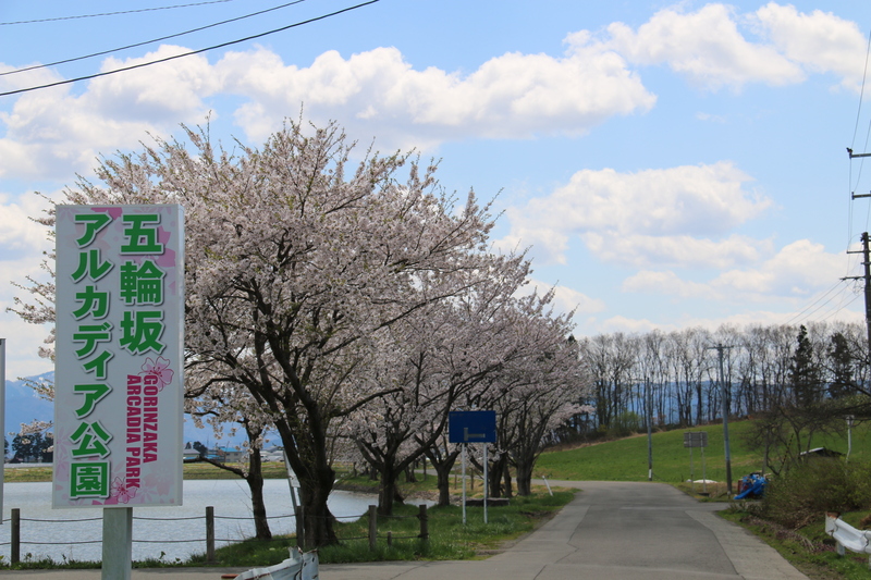 釣り・アスレチック・ピクニックが無料で楽しめる！<br/>秋田県羽後町「五輪坂アルカディア公園」