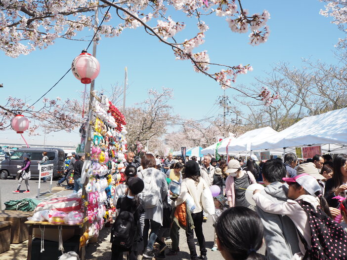 名張桜まつり（2026年）