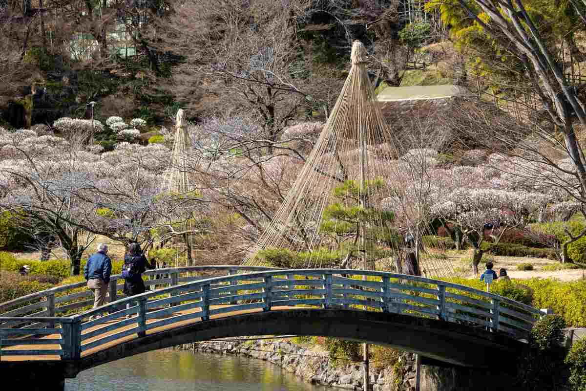 町田薬師池公園四季彩の杜 薬師池 梅まつり（2026年） | 【町田】梅林