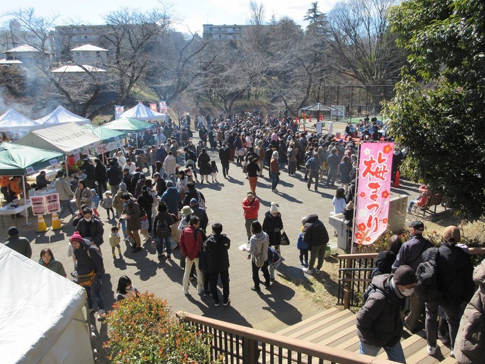 保土ケ谷公園 梅まつり（2026）