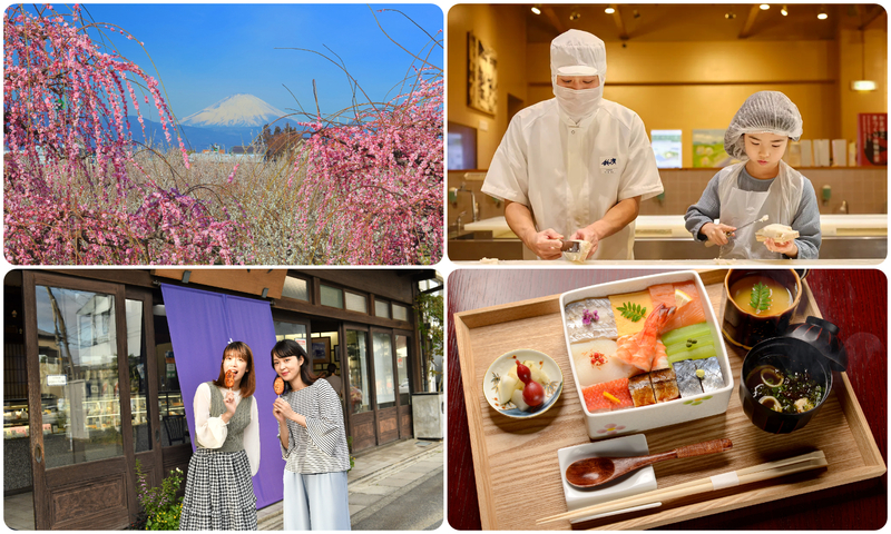 2026早春の小田原でやりたい9つのこと　2月三連休は梅まつりが見頃！食べ歩き＆早咲き桜の名所も