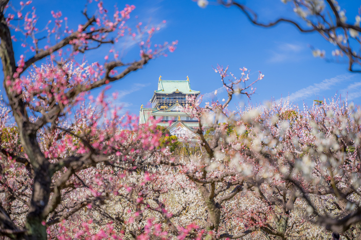【2026大阪】今が見頃！「駅から徒歩10分以内」の梅の名所5選　早春の絶景を駅近くで満喫