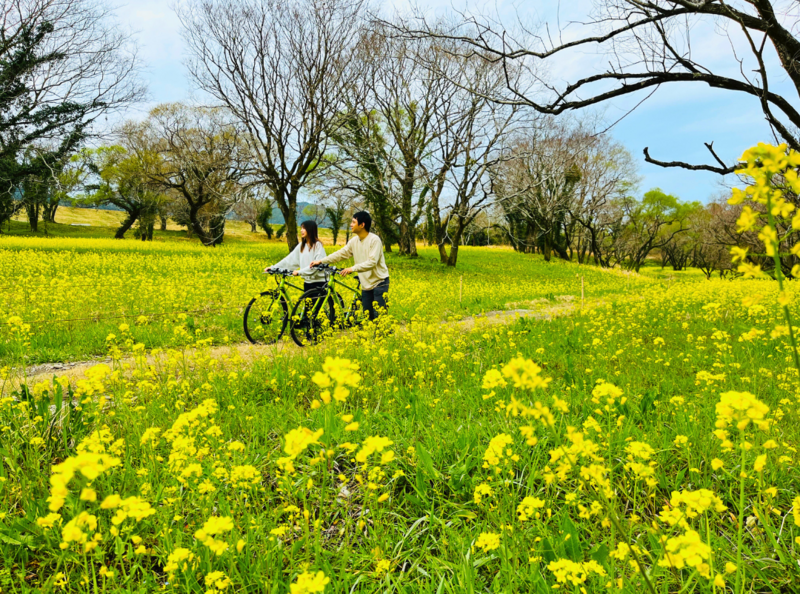 1,000万本の菜の花が咲き誇る「四万十川花紀行 入田ヤナギ林菜の花まつり」春の絶景を堪能＆イベントも