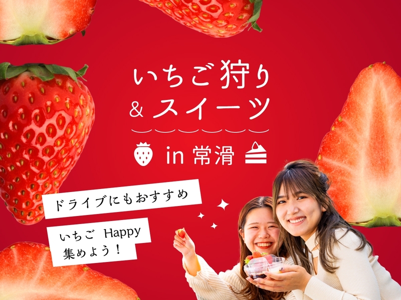 いちご狩り×限定スイーツ！常滑で旬のいちごを満喫