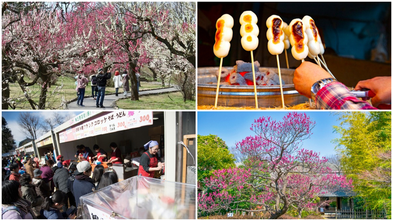 【東京】いよいよ見納め！2026年2月28日・3月1日に楽しめる「梅まつり」9選　グルメ＆週末限定イベントも