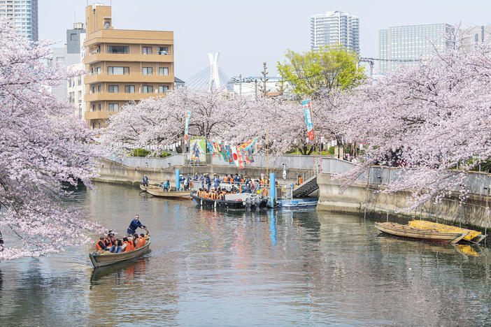 お江戸深川さくらまつり（2026年）