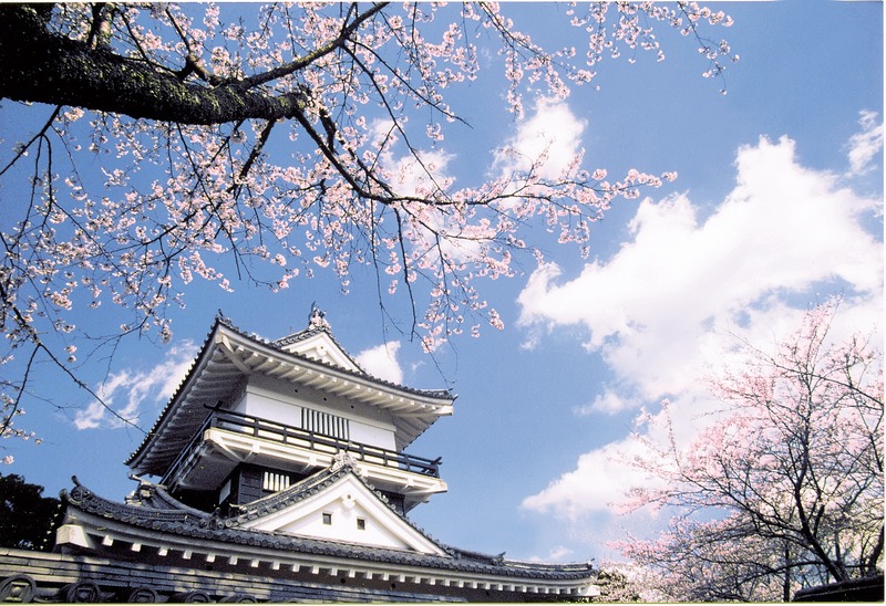 【2026最新】千葉の桜・お花見穴場スポット6選！混雑を避けてゆっくり楽しめる名所を厳選