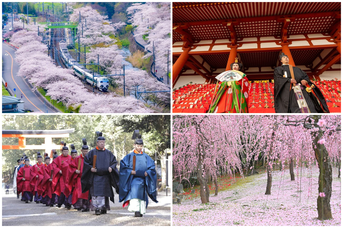 【関西】2026年3月の注目イベント38選　しだれ梅まつり＆ひな祭り＆春のライトアップも