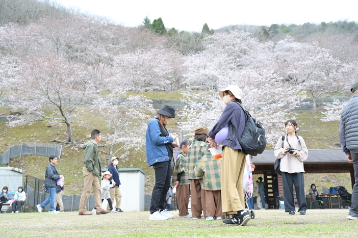 第20回佐用町桜まつり（2026年）