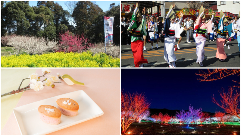【関東】いよいよ見納め！2026年3月7日・8日の今週末に楽しめる「梅まつり」14選 春の香りと絶景を満喫