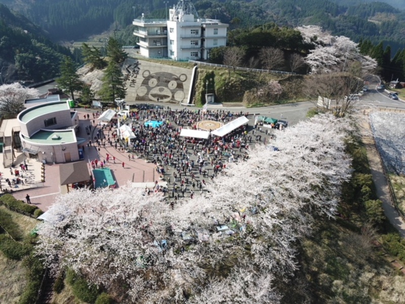 桜の季節に親子でウォーキング！熊本県美里町「2026さくら健康フェスタin美里」開催情報