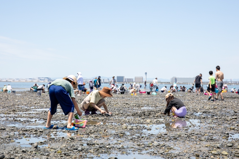 愛知県常滑市で潮干狩り体験！アサリ・はまぐりが採れる海辺のおでかけ【2026年4月〜6月】