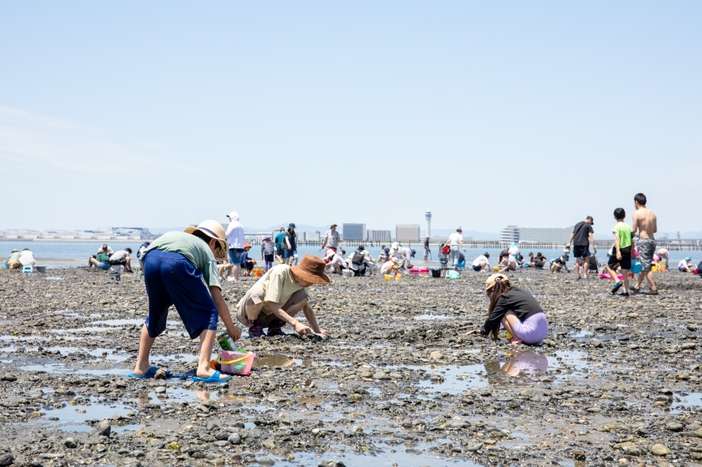 常滑漁業協同組合 潮干狩り（2026年）