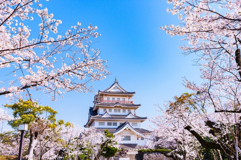 【2026】千葉県の桜お花見スポット18選｜名所から穴場まで！桜祭りや見頃も