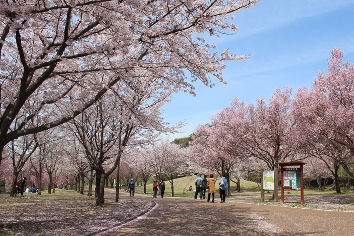 高尾さくら公園