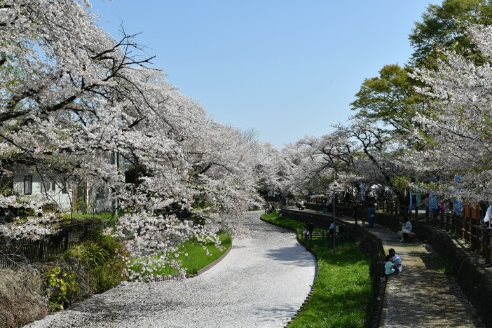 第6回若泉公園春まつり＆本庄クラフトアートフェア（2026年）