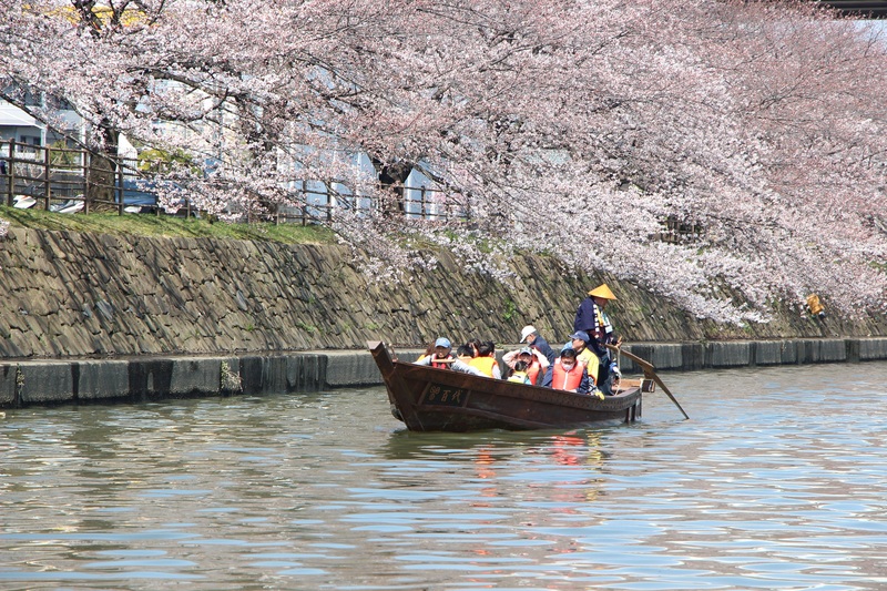 埼玉・草加市の綾瀬川で無料の和舟乗船体験！桜咲く川面を親子で楽しもう