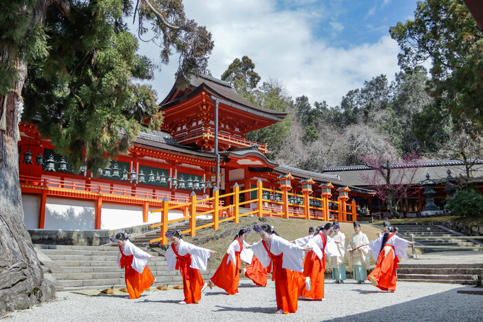 春日大社 御田植神事（2026）