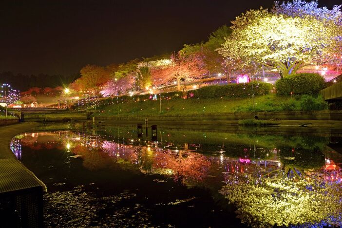 花台 静峰ふるさと公園「八重桜まつり」（2026年） | 那珂市・静峰ふるさと