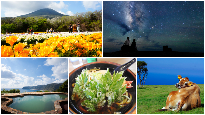 【2026】春の八丈島で楽しめる10のこと　八丈富士の麓に咲く一面のフリージア＆絶景温泉を満喫