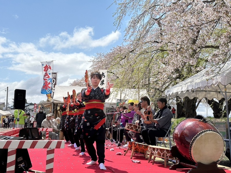 町全体が桜に包まれる角館「角館の桜まつり」開催情報