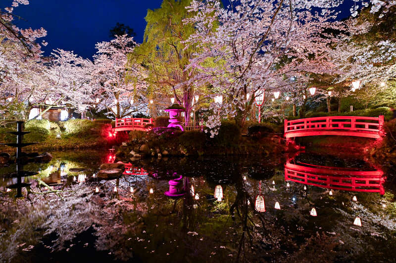 4,000本の桜と幻想的な灯りにうっとり「第52回倉吉春まつり」見どころ＆開催情報