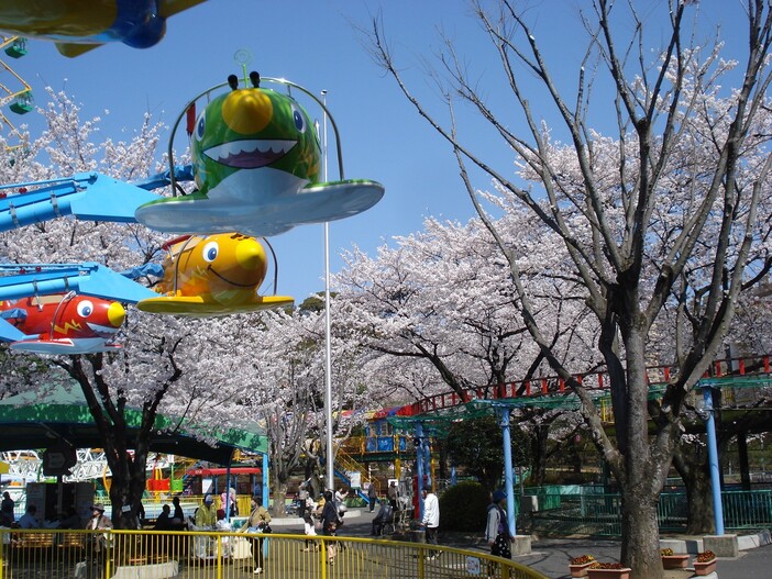 華蔵寺公園花まつり（2026）