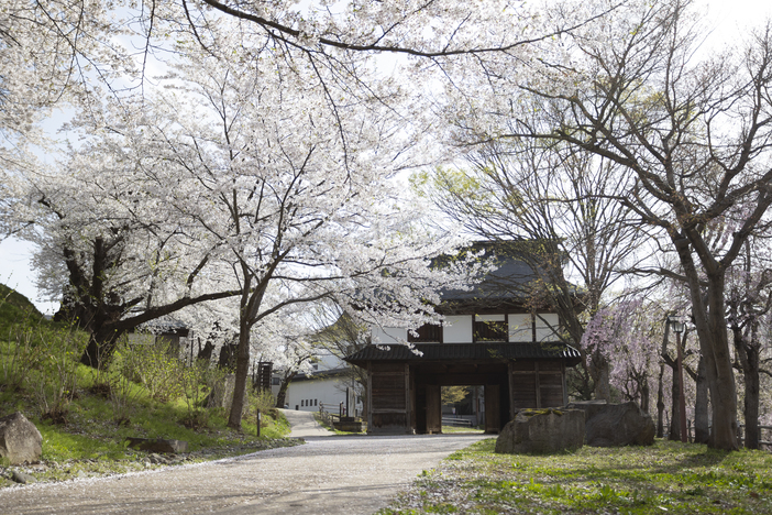 飯山城址　桜まつり（2026年）