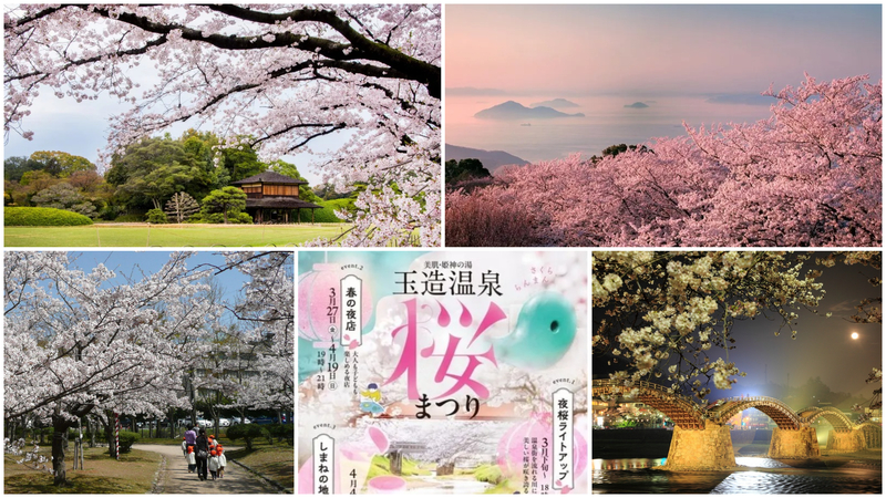 【2026】いよいよ開花！中国・四国地方の桜名所33選　人気から穴場まで見頃予想＆桜まつり情報も