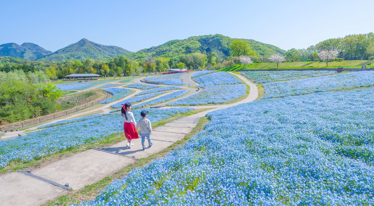 春らんまんフェスタ2026 | 春の花々がリレーのように次々と 10万本の