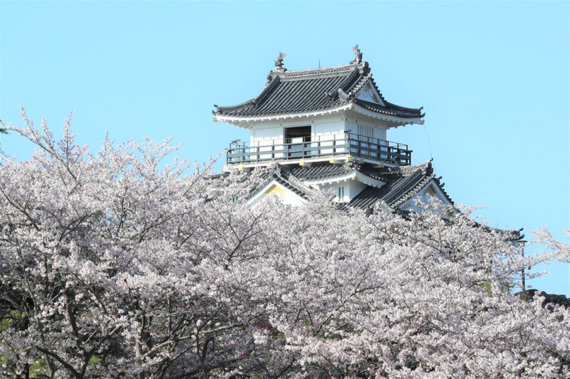 浜松城公園さくらまつり2026｜約270本の桜と夜桜ライトアップを家族で楽しもう