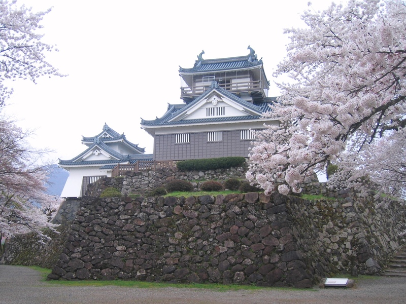 戦国時代から続く歴史と桜の絶景！福井・大野市「亀山公園・越前大野城」を親子で楽しもう