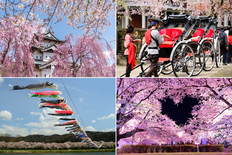 2026「みちのく三大桜名所」完全ガイド！GWの旅行にぴったりの絶景お花見スポット