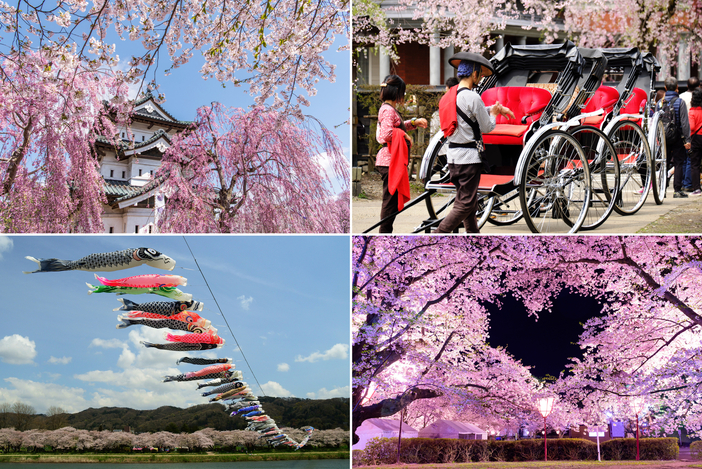 2026「みちのく三大桜名所」完全ガイド！GWの旅行にぴったりの絶景お