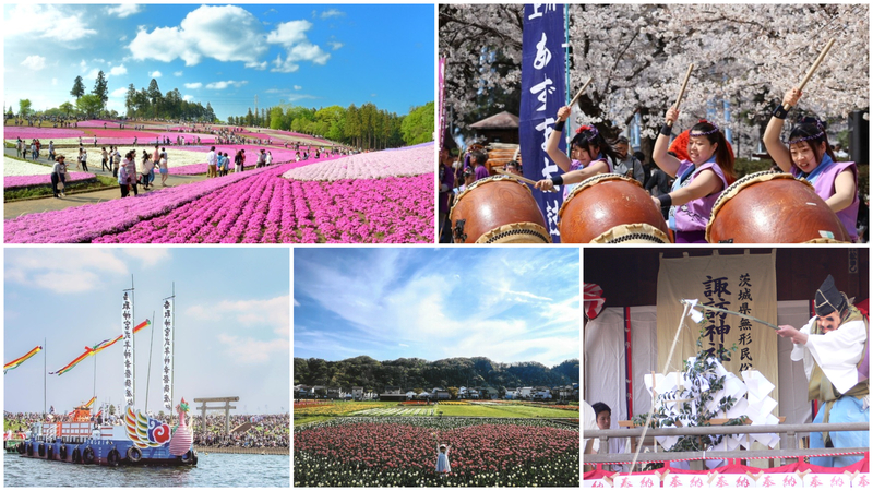 【関東】2026年4月の注目イベント＆伝統行事　桜・芝桜・チューリップまつり＆春季例大祭を満喫