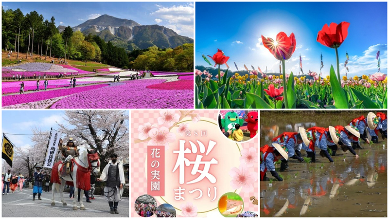 【関東】4月4日・5日の週末に親子で楽しめる伝統行事＆イベント24選！　芝桜＆まもなく見納めの桜まつりも