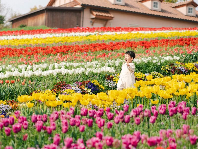 【2026最新】大阪のチューリップ名所6選　春の絶景を親子で満喫！見頃や入園無料の穴場も