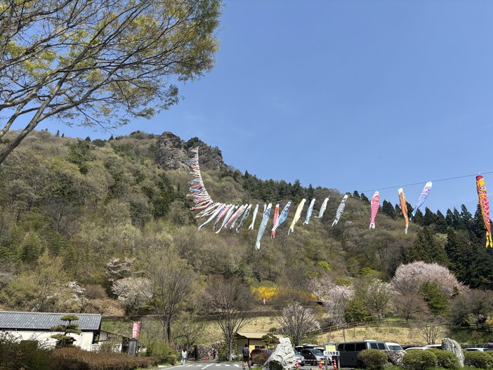 嵩山のこいのぼり（2026年）